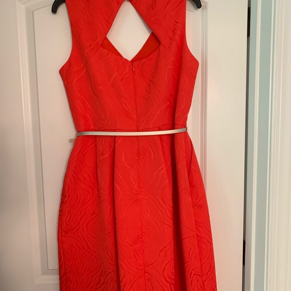 Ellen Tracy dress - Picture 2 of 4